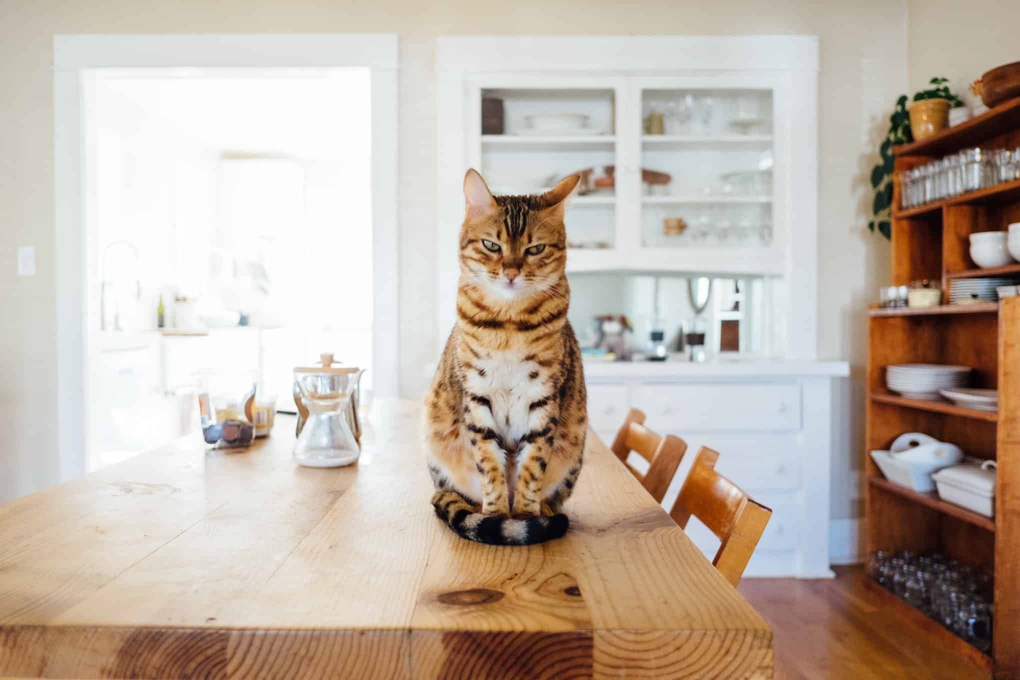 30 important things you should say ‘NO’